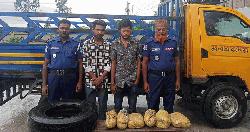 পার্বতীপুরে ৬ কেজি গাঁজাসহ ট্রাক জব্দ, আটক ২