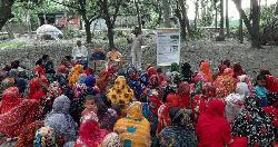 কলারোয়ায় সাফল্য ছড়াচ্ছেন আদর্শ কৃষক সাত্তার