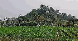 ঘুমধুম সীমান্তে স্থলমাইন বিস্ফোরণে নিহত ৩