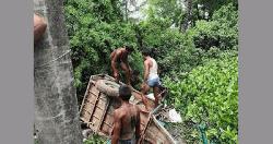 নসিমন উল্টে ব্যবসায়ীর মৃত্যু