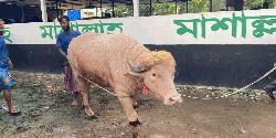 ‘ডোনাল্ড ট্রাম্প’-এর ঠাঁই হচ্ছে চিড়িয়াখানায়