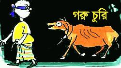 সুবর্ণচরে কোরবানির গরু চুরি, এলাকায় চাঞ্চল্য