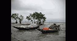 বনদস্যুদের বন্দিদশা থেকে মুক্ত শরণখোলার দুই জেলে