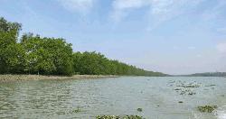৩ মাসের জন্য সুন্দরবন বন্ধ