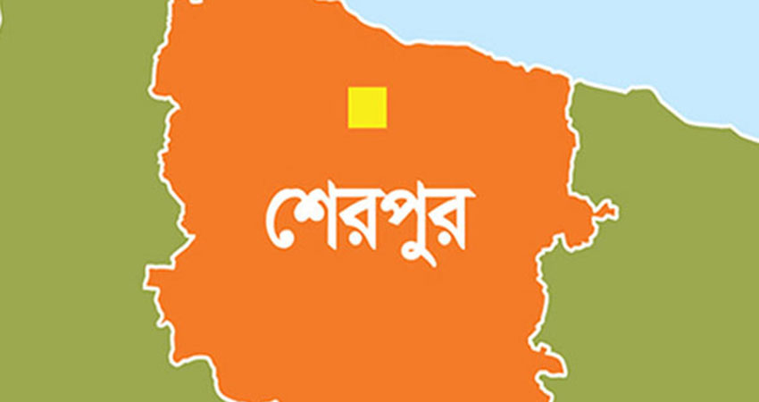 নালিতাবাড়ীতে ফাঁসিতে ঝুলে মাদকাসক্ত যুবকের আত্মহত্যা 