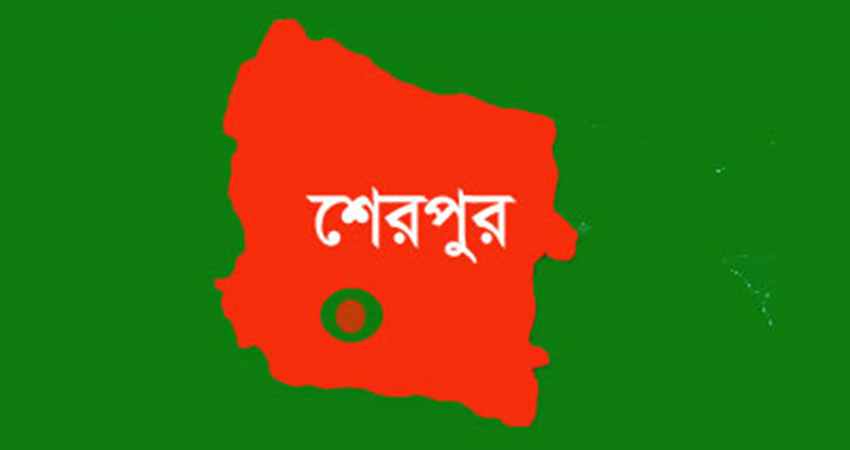 শেরপুর সীমান্ত দিয়ে ভারতে যাওয়ার চেষ্টাকালে আটক ২