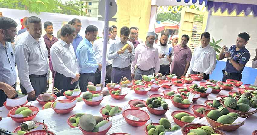 উৎপাদনে রেকর্ডের পথে নওগাঁ, আম নিয়ে কৃষকদের নতুন স্বপ্ন