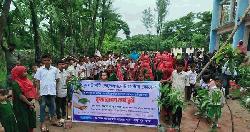 সবুজ আগামী গড়ার প্রত্যয়ে কমলনগরে বৃক্ষ বিতরণ