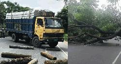 আসলাম চৌধুরীর প্রার্থিতা বাতিলের পর ঢাকা-চট্টগ্রাম মহাসড়ক অবরোধ