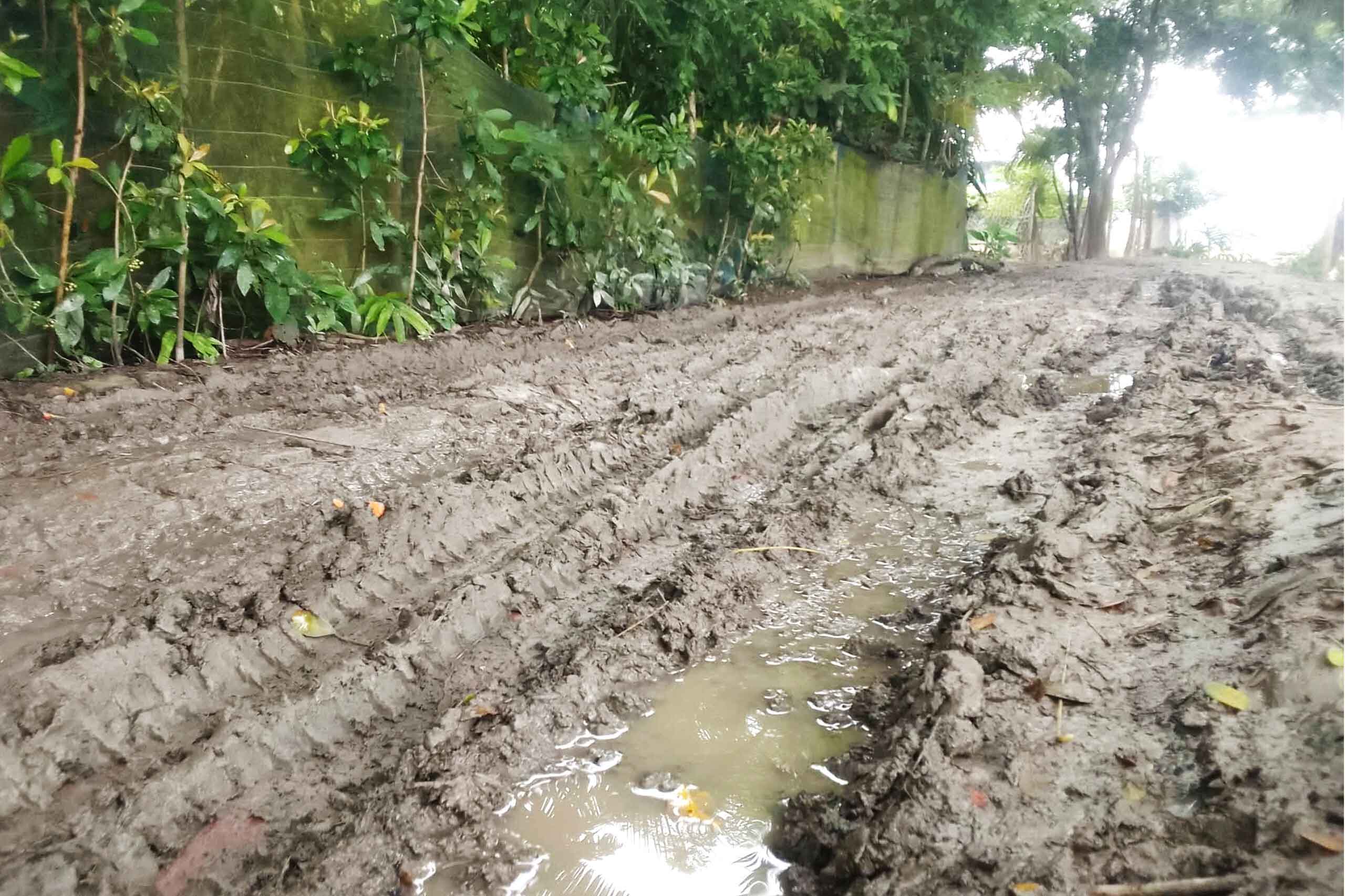 পাথরঘাটায় বেহাল সড়ক, দুর্ভোগে কয়েক হাজার মানুষ