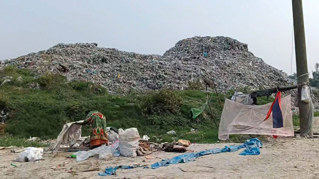 ফাইল ছবি
