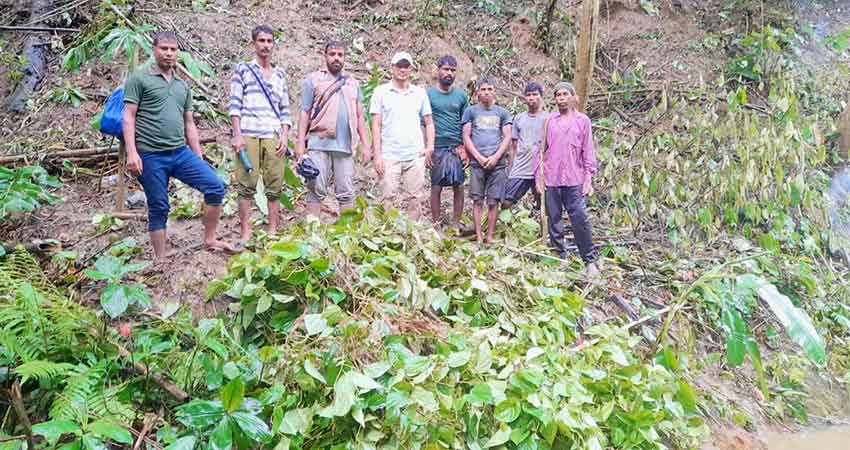 মৌলভীবাজারে সংরক্ষিত বনভূমি থেকে অবৈধ পানবাগান উচ্ছেদ