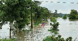 ধলাই নদীর বাঁধ ভেঙে মৌলভীবাজারে বন্যা, পানিবন্দী ১০ হাজার মানুষ
