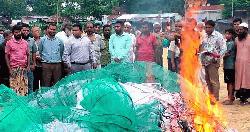 আত্রাইয়ে অবৈধ রিংজাল ধ্বংস, ব্যবসায়ীকে জরিমানা