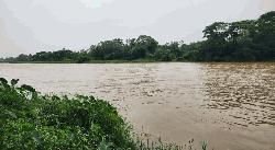 ফেনীতে মুহুরী নদীর পানি দ্রুত বাড়ছে, বন্যার শঙ্কা