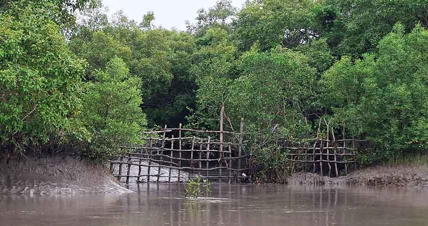 অবৈধ প্রবেশ ও চুরি ঠেকাতে সুন্দরবনের গুরুত্বপূর্ণ খালে বেড়া