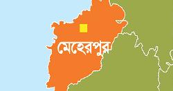 গাংনীতে বিদ্যুৎস্পৃষ্টে কৃষকের মৃত্যু, আহত ২