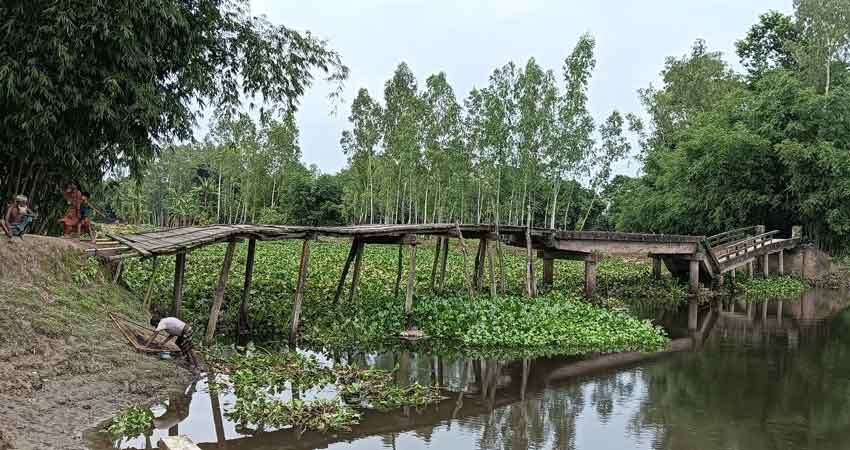নাগেশ্বরীতে দুই যুগ ধরে ভাঙা সেতুতে পাড়াপাড়, দুর্ভোগে ১৫ গ্রামের মানুষ
