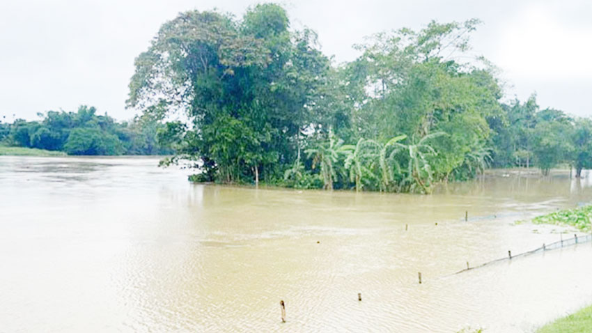 দক্ষিণাঞ্চলের ৯ নদীর পানি বিপৎসীমার ওপরে 
