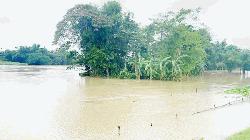 দক্ষিণাঞ্চলের ৯ নদীর পানি বিপৎসীমার ওপরে 