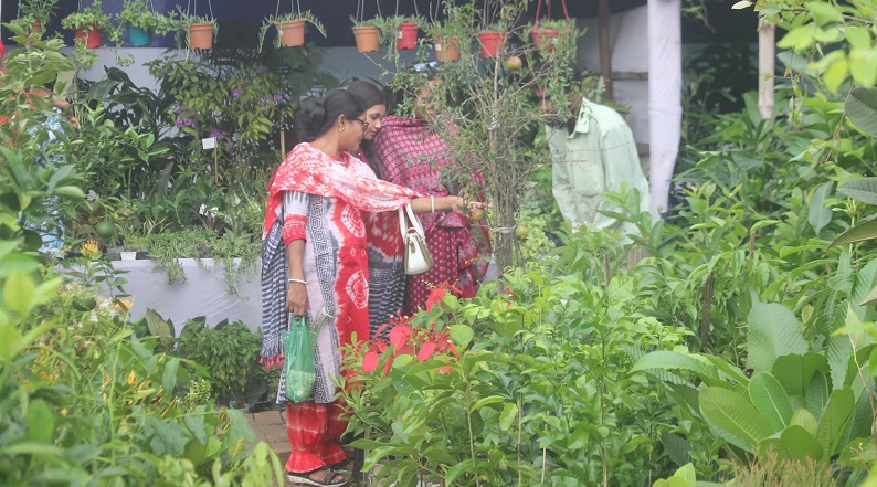 খুলনায় বৃক্ষমেলা: ১১ দিনে বিক্রি ৩০ লাখ টাকার বেশি চারাগাছ