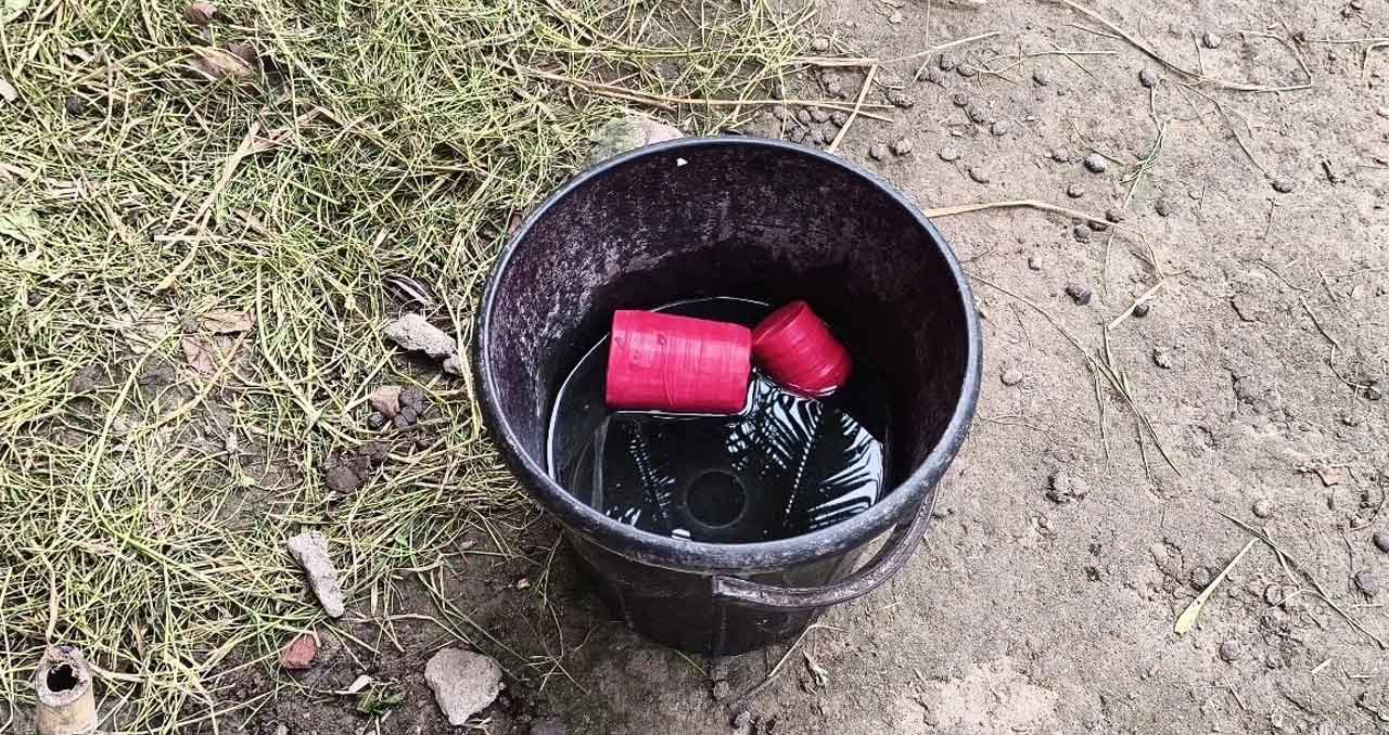 সংগৃহীত ছবি