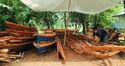 বর্ষার জলে চলনবিলে বাড়ছে ডিঙি নৌকার কদর