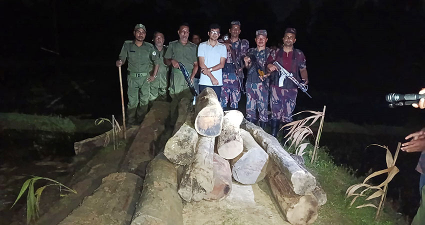 কমলগঞ্জে যৌথ অভিযানে প্রায় ২৭ ঘনফুট সেগুন কাঠ জব্দ