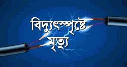 নওগাঁয় মাছ ধরতে গিয়ে বিদ্যুৎস্পৃষ্টে ২ যুবকের মৃত্যু