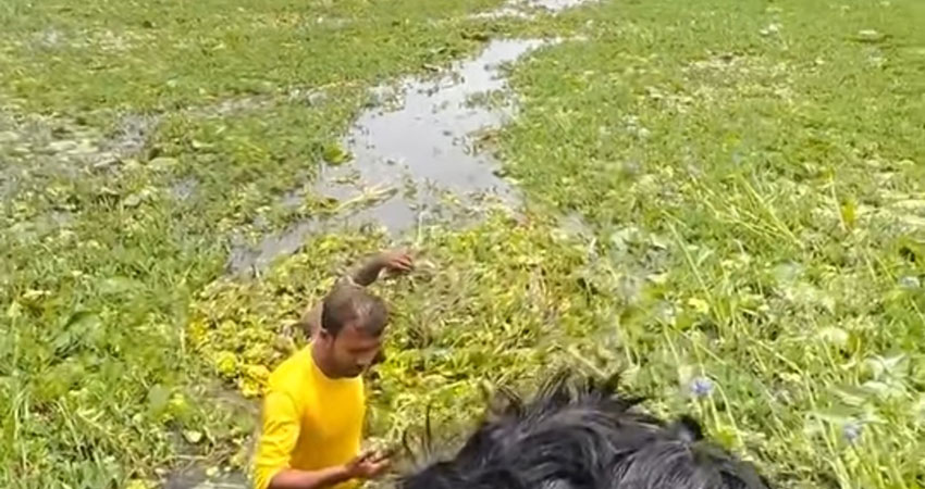 বিজয়নগরে বিল থেকে অজ্ঞাত ব্যক্তির মরদেহ উদ্ধার