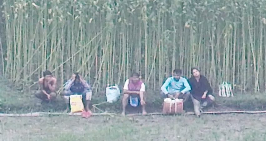 সংগৃহীত ছবি