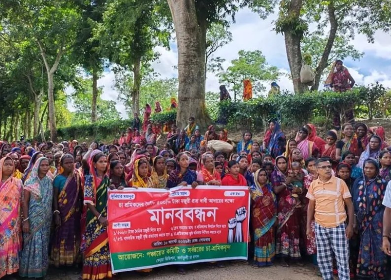 সংগৃহীত ছবি