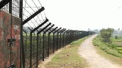 সীমান্তে বাংলাদেশি যুবককে আটক করেছে বিএসএফ