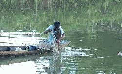 সাড়ে তিন মাস পর কাপ্তাই হ্রদে মাছ ধরা শুরু