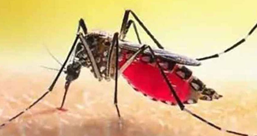 প্রতীকী ছবি