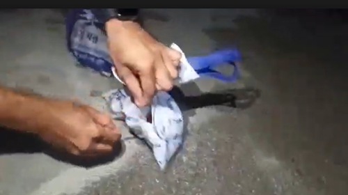 সংগৃহীত ছবি