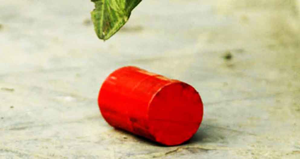 ফাইল ছবি