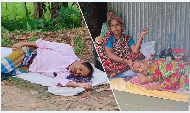 সংগৃহীত ছবি