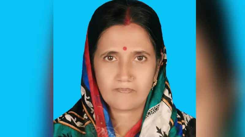 সংগৃহীত ছবি