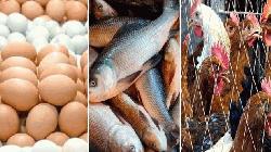 বাজারে মাছ-মুরগি-ডিমের দামে আগুন