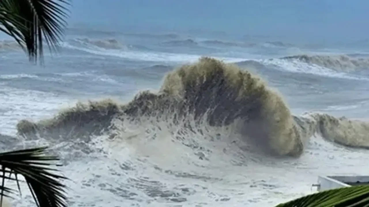 সংগৃহীত ছবি