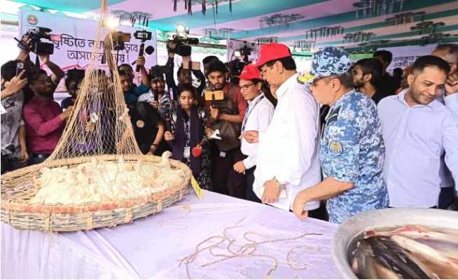 সংগৃহীত ছবি