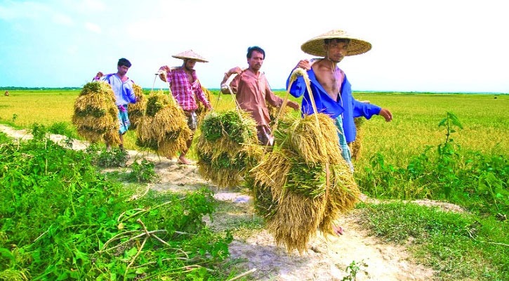 সংগৃহীত ছবি
