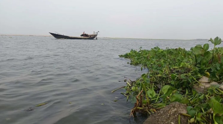 সংগৃহীত ছবি