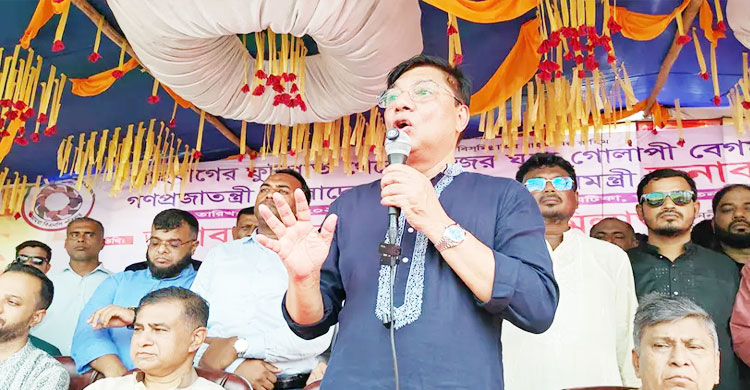 সংগৃহীত ছবি