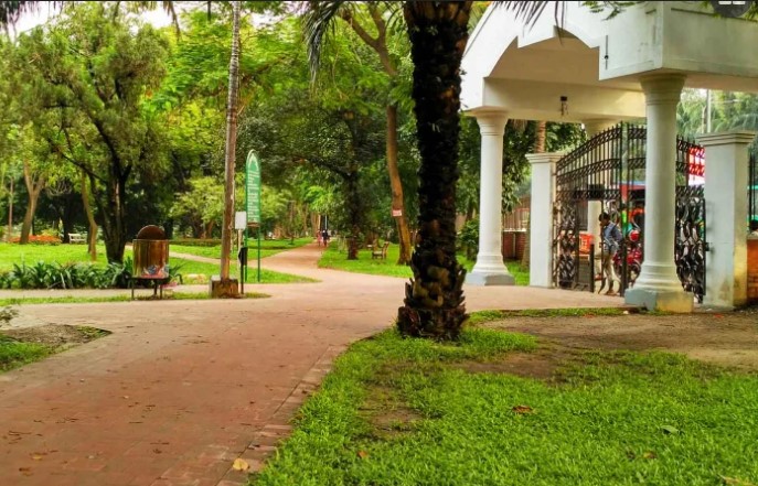 সংগৃহীত ছবি