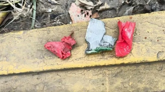 সংগৃহীত ছবি