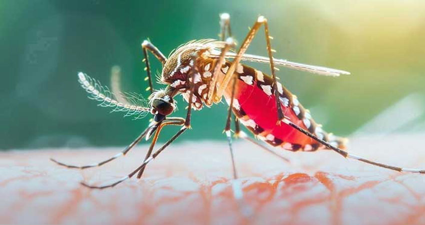 প্রতীকী ছবি