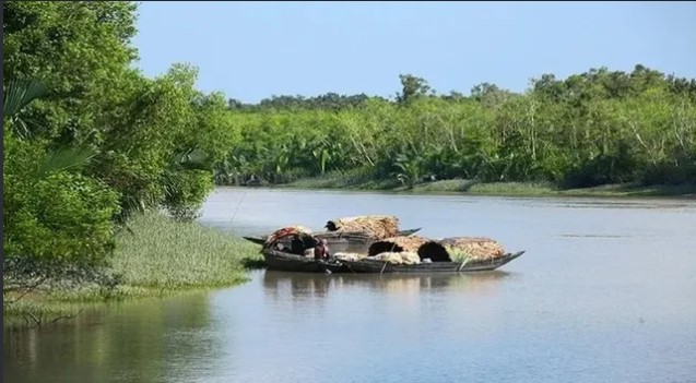 সংগৃহীত ছবি