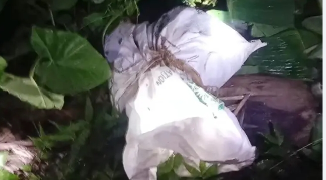 সংগৃহীত ছবি